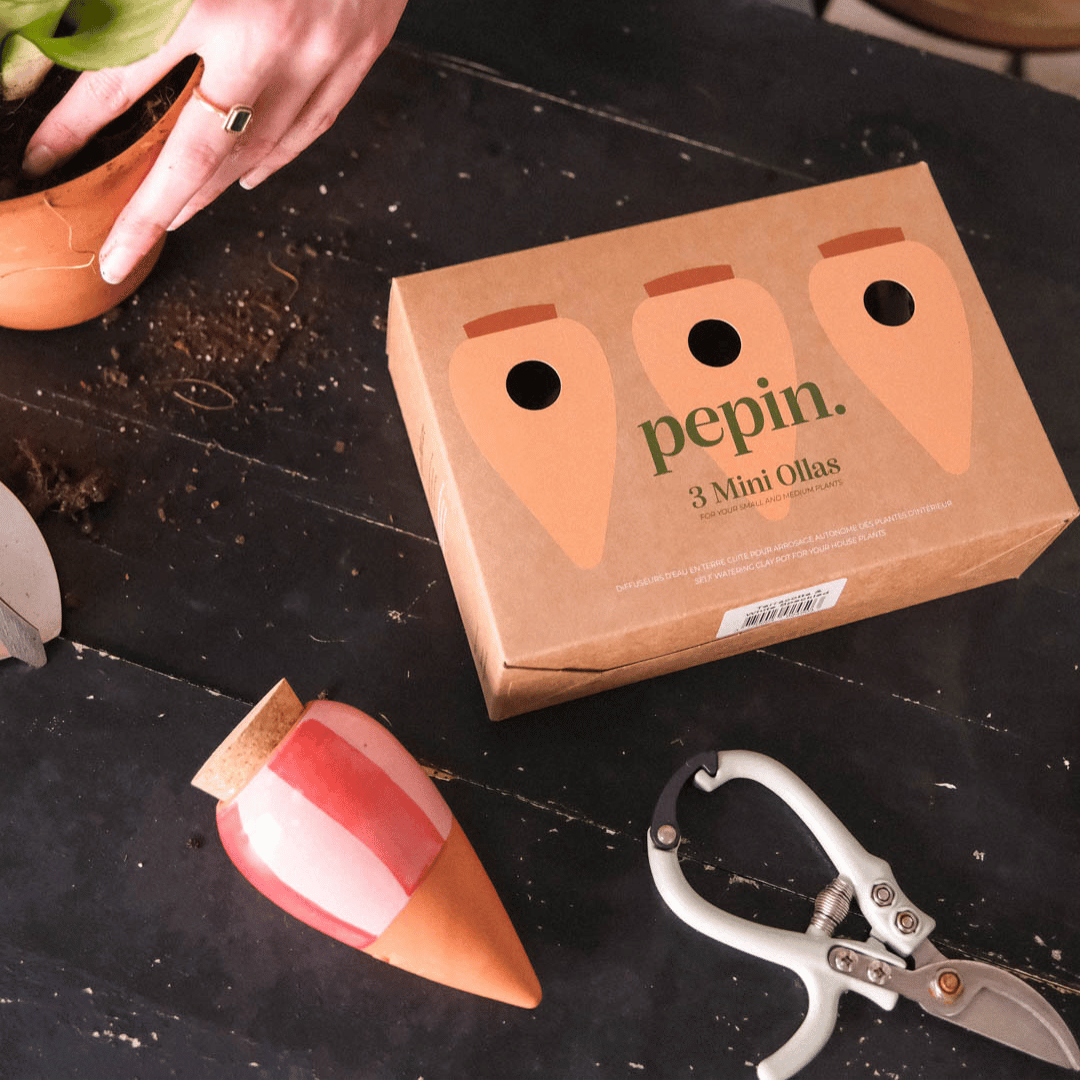 Pepin 3 Mini Ollas Box