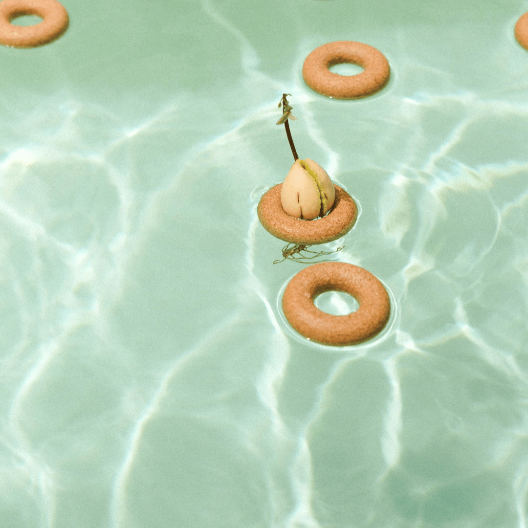 Pepin Avocado Buoys in Swimming Pool