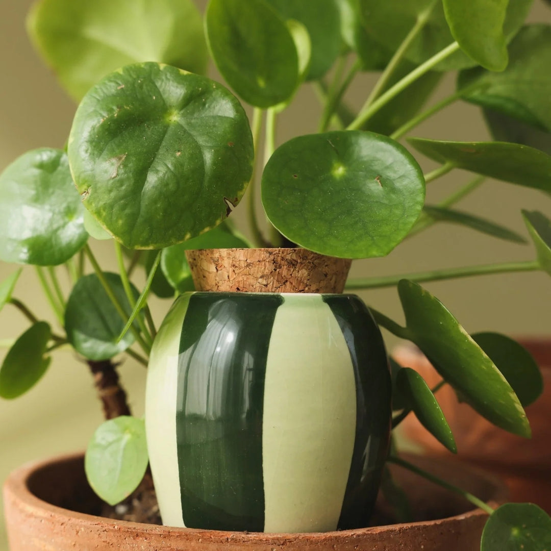 Pepin Mini Green Striped Olla