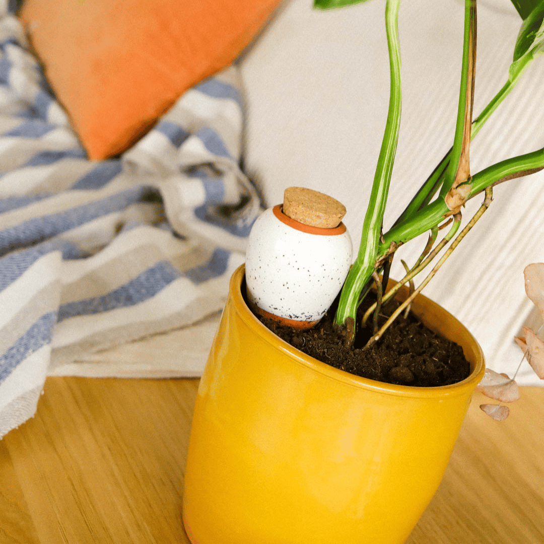 Pepin Olla Watering Spike, White Speckled