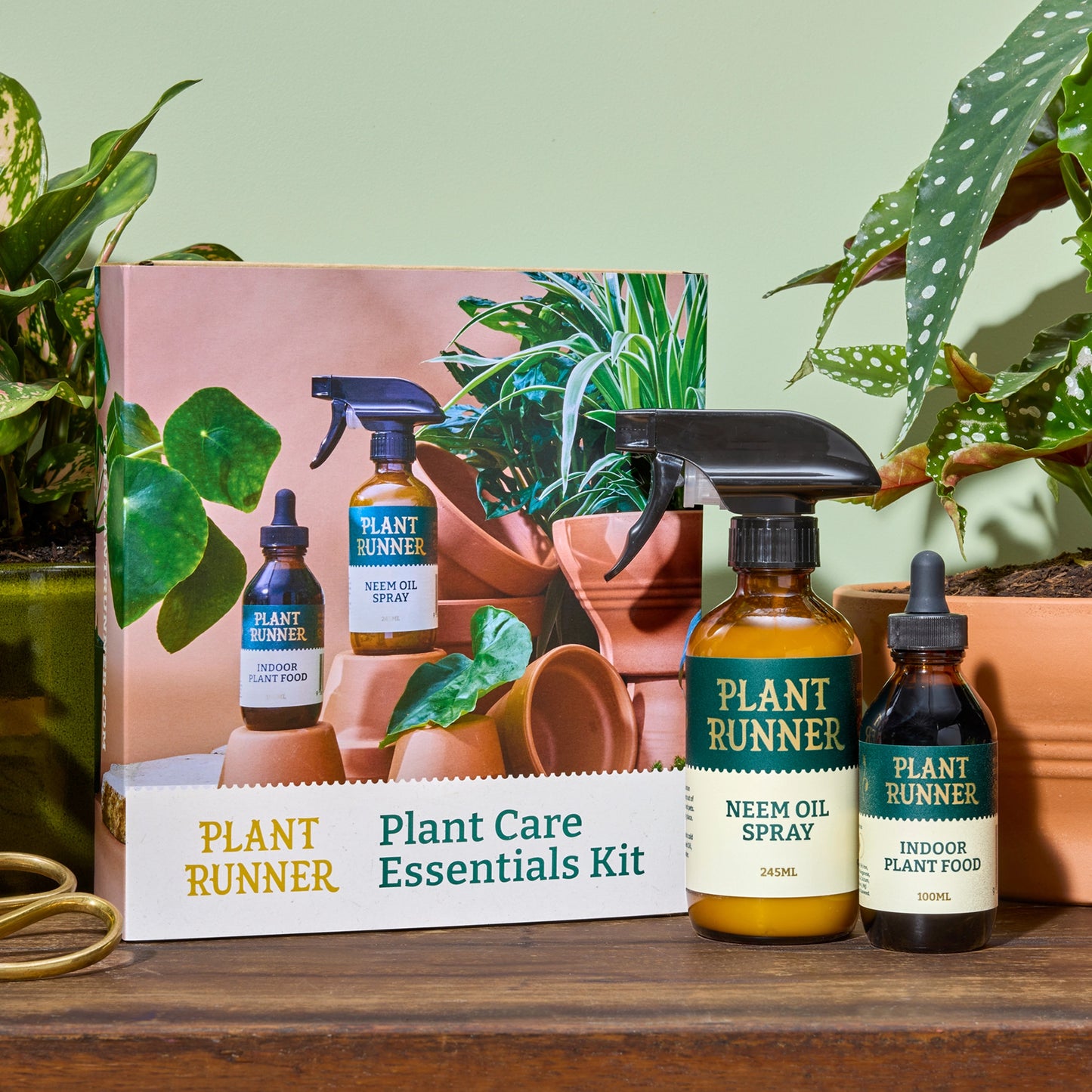 Plant Runner Plant Care Essentials Kit with Bottles