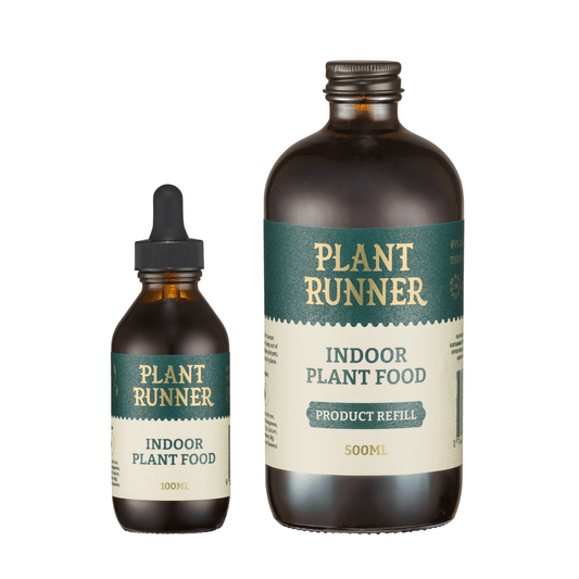 Plant Runner Indoor Plant Food Bundle