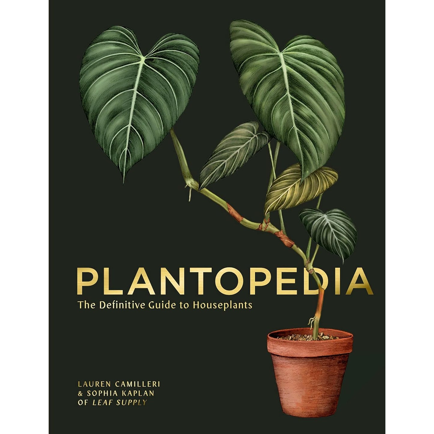 Plantopedia: The Definitive Guide to Houseplants - Book Cover