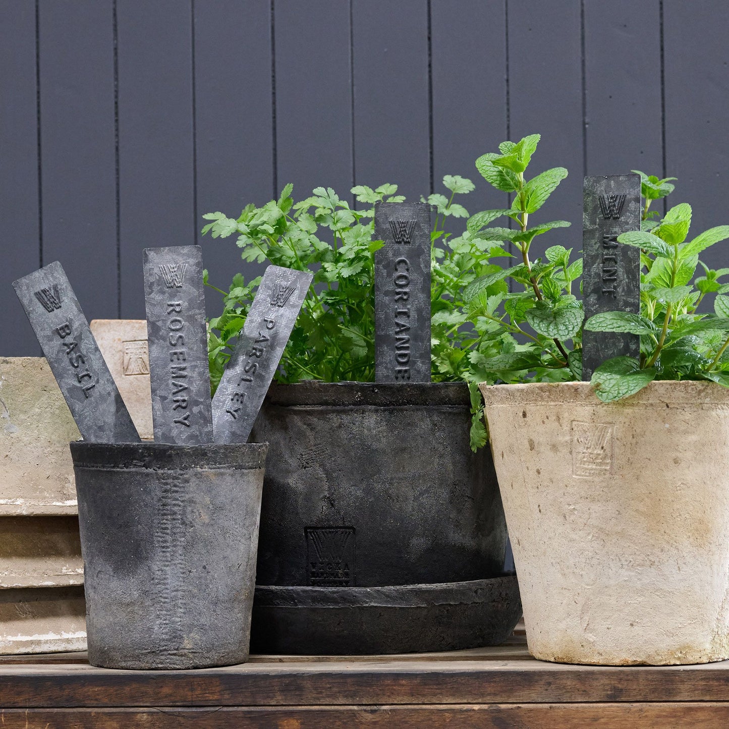 Pressed Tin Herb Plant Labels in Pots
