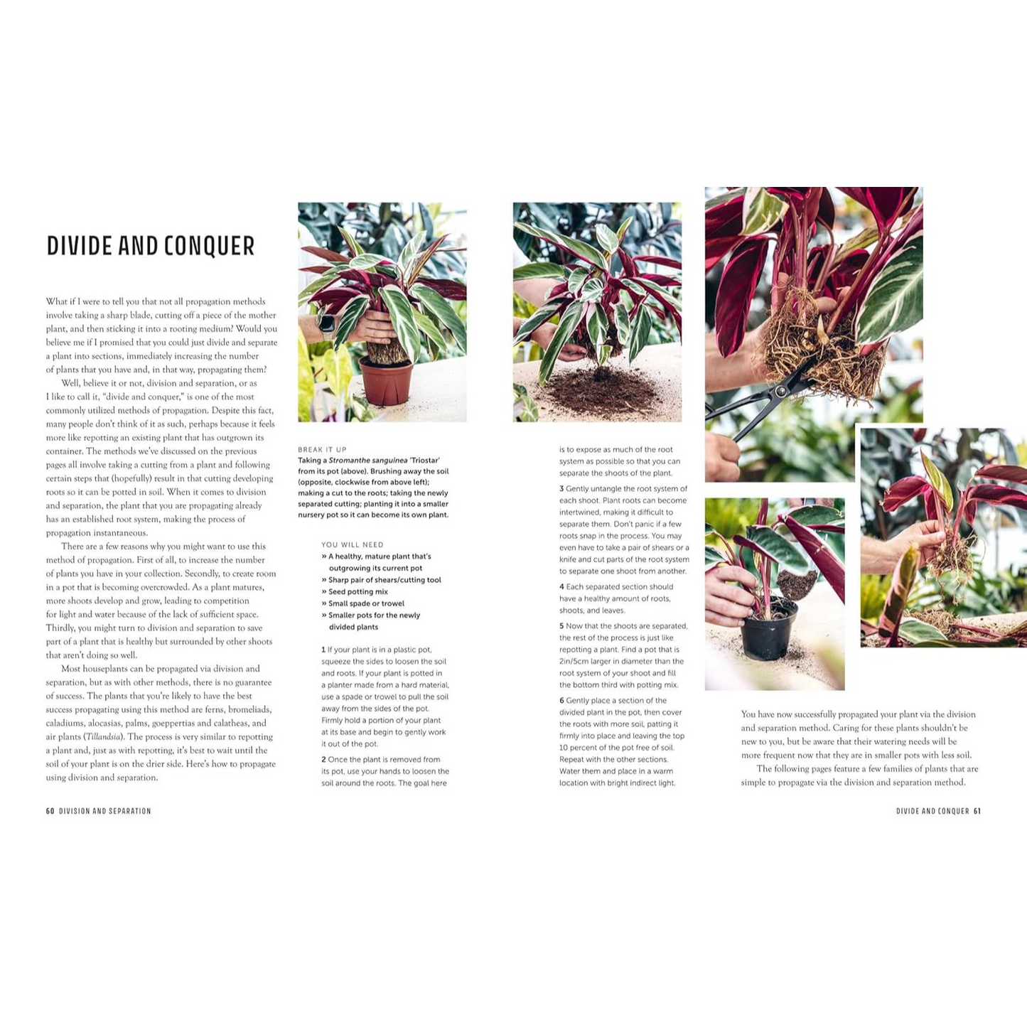 The Propagation Handbook - Divide & Conquer