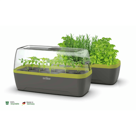Romberg BoQube L Self-Watering Indoor Greenhouse
