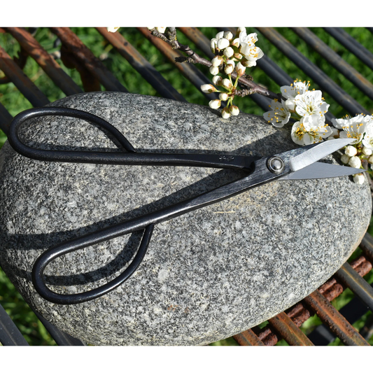 Sakagen Japanese Bonsai Shears in Garden