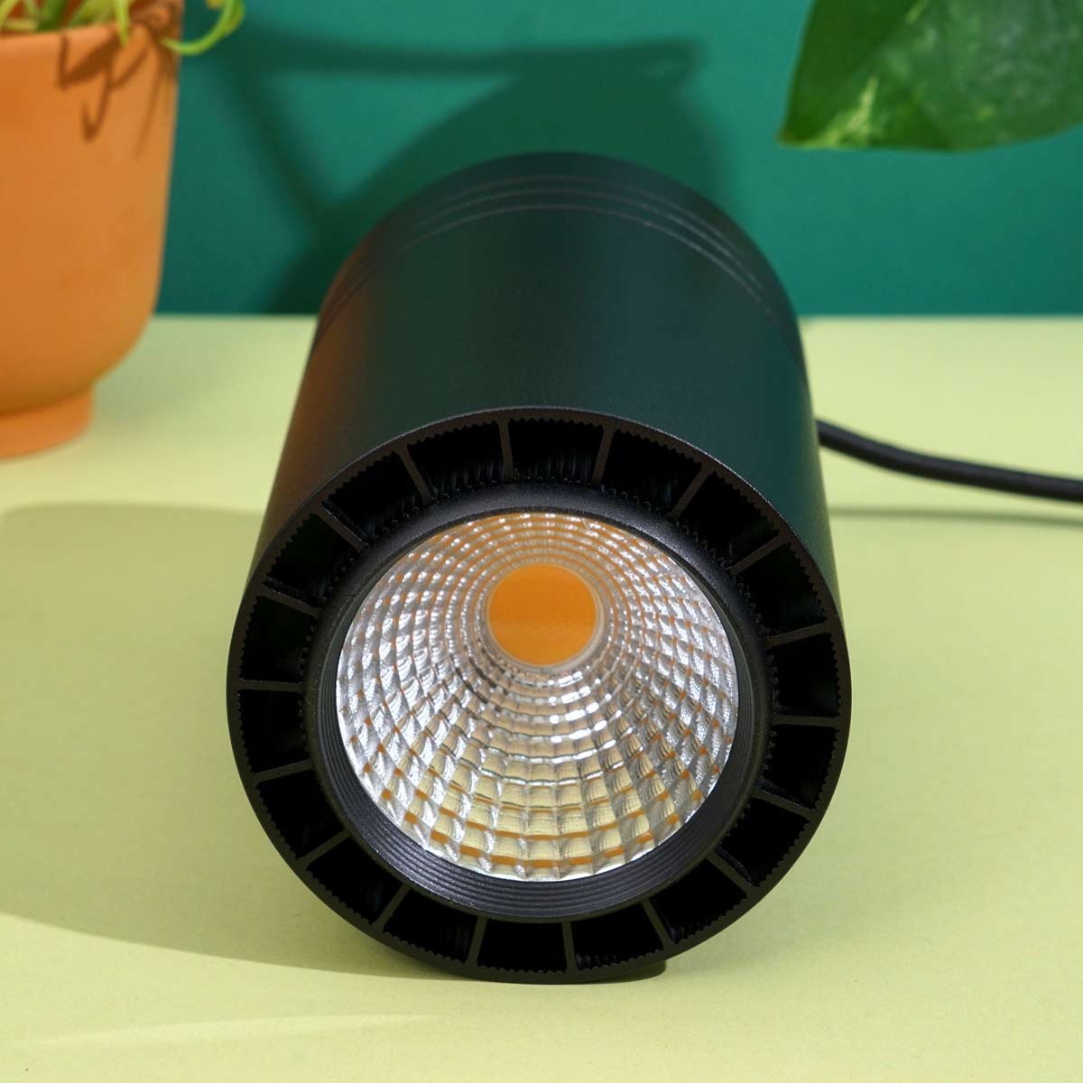 Soltech Solutions Luxury Plant Grow Light in Black
