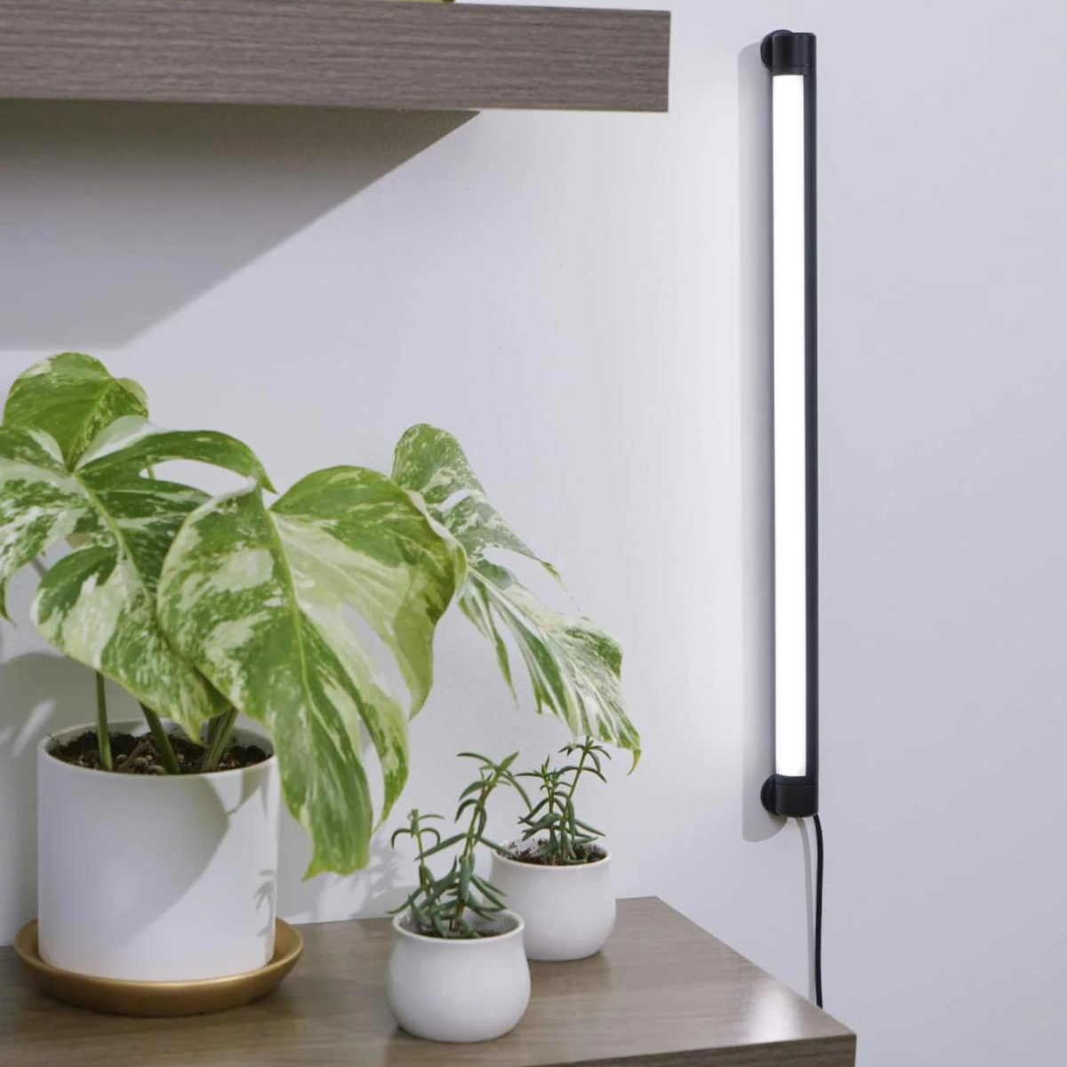 Soltech Grove LED Grow Light, Black - Vertical