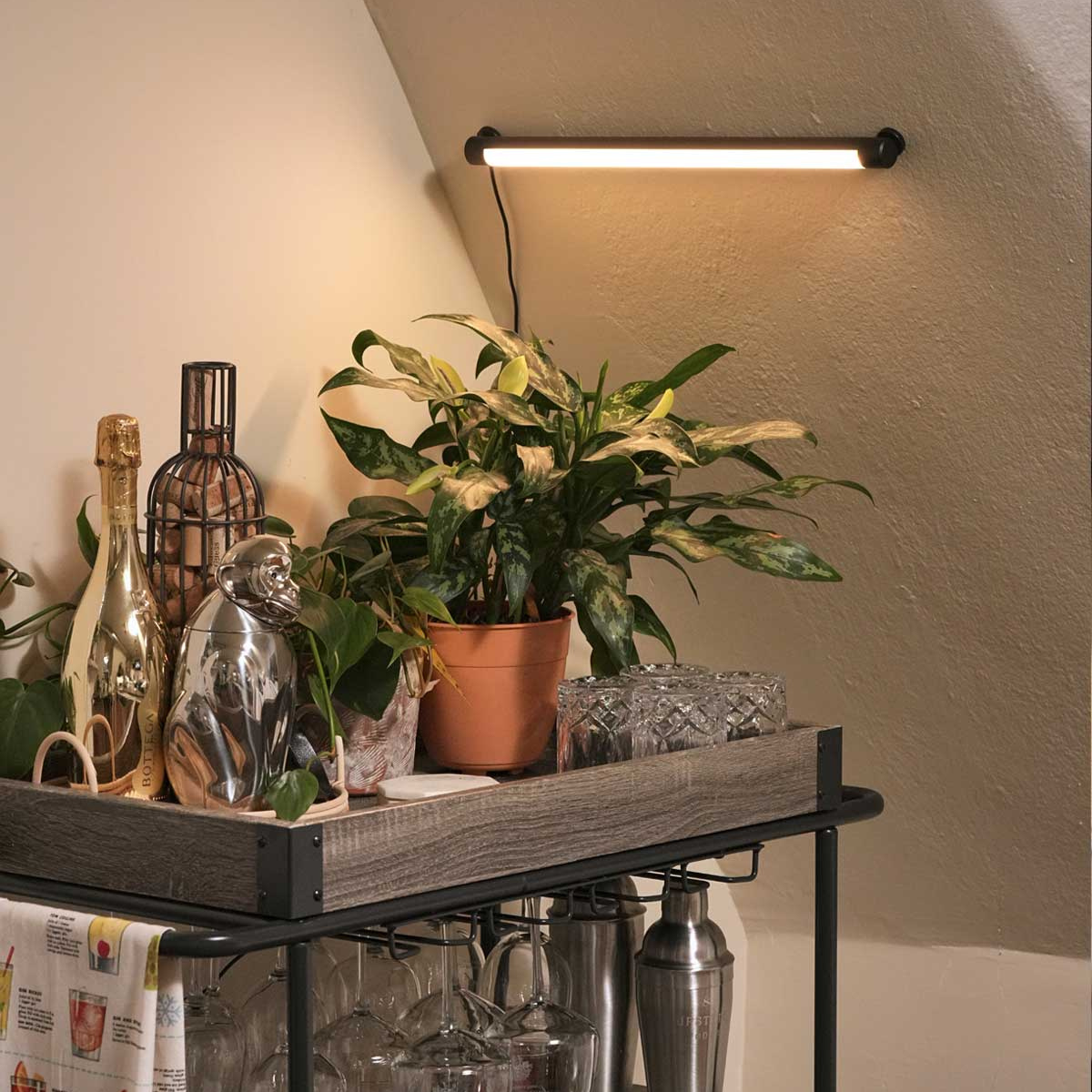 Soltech Grove LED Grow Light, Black - Wall Mounted