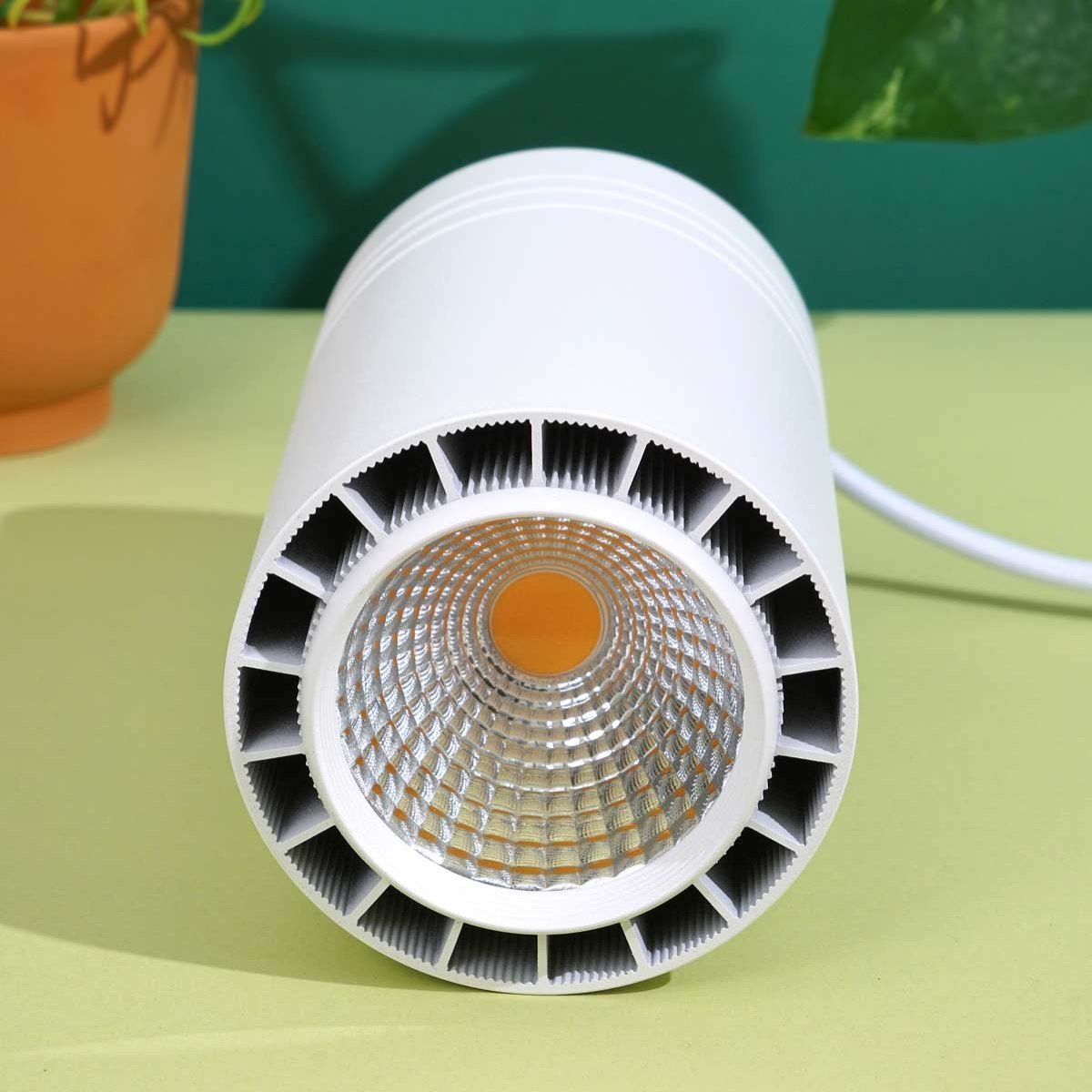 Soltech Luxury LED Plant Grow Light