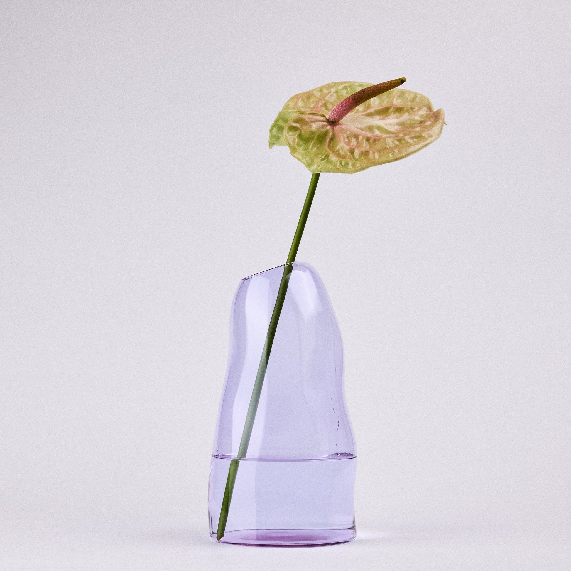 Studio Milligram Large Lilac Casper Vase with Flower