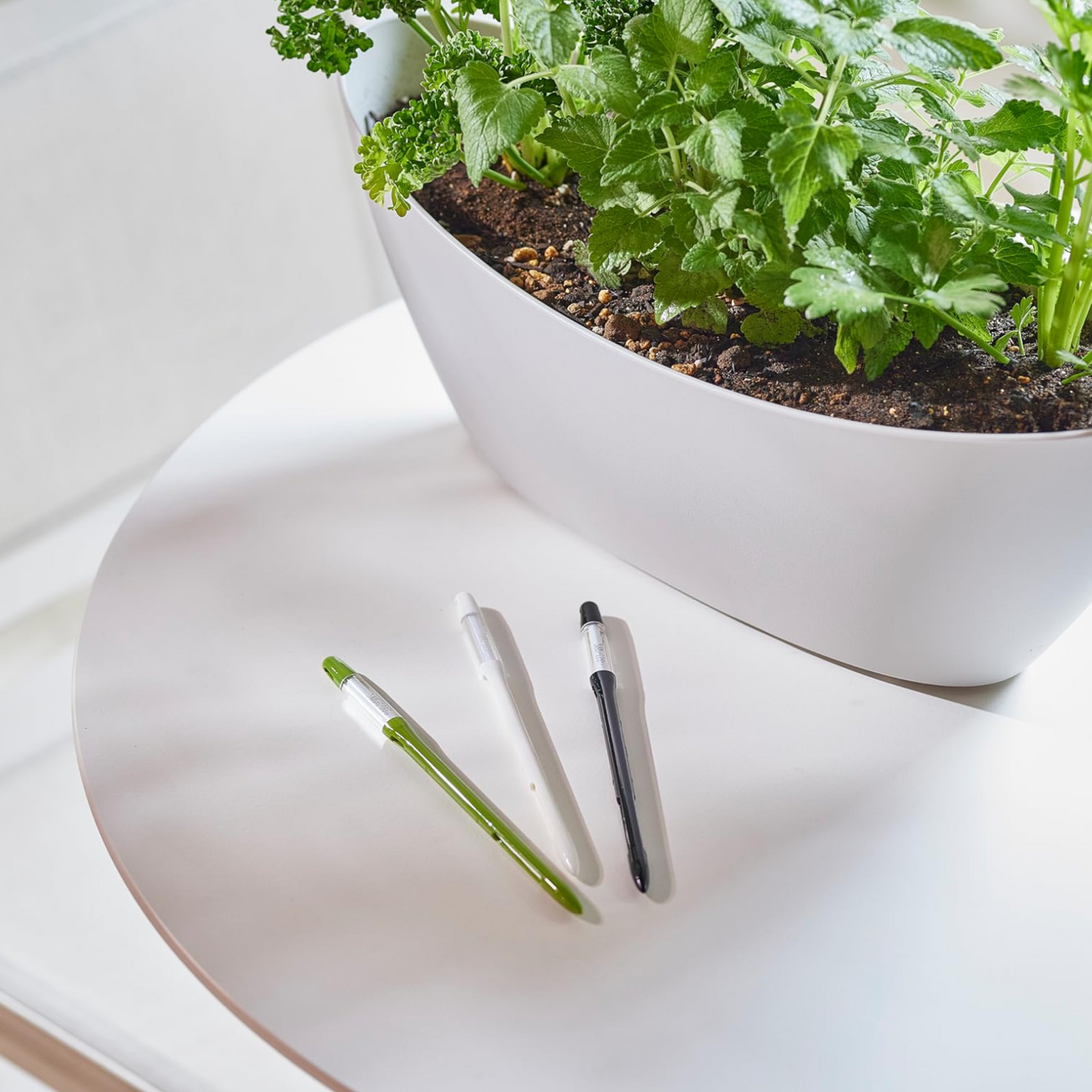 Sustee Watering Device in 3 Colours; Green, White & Black