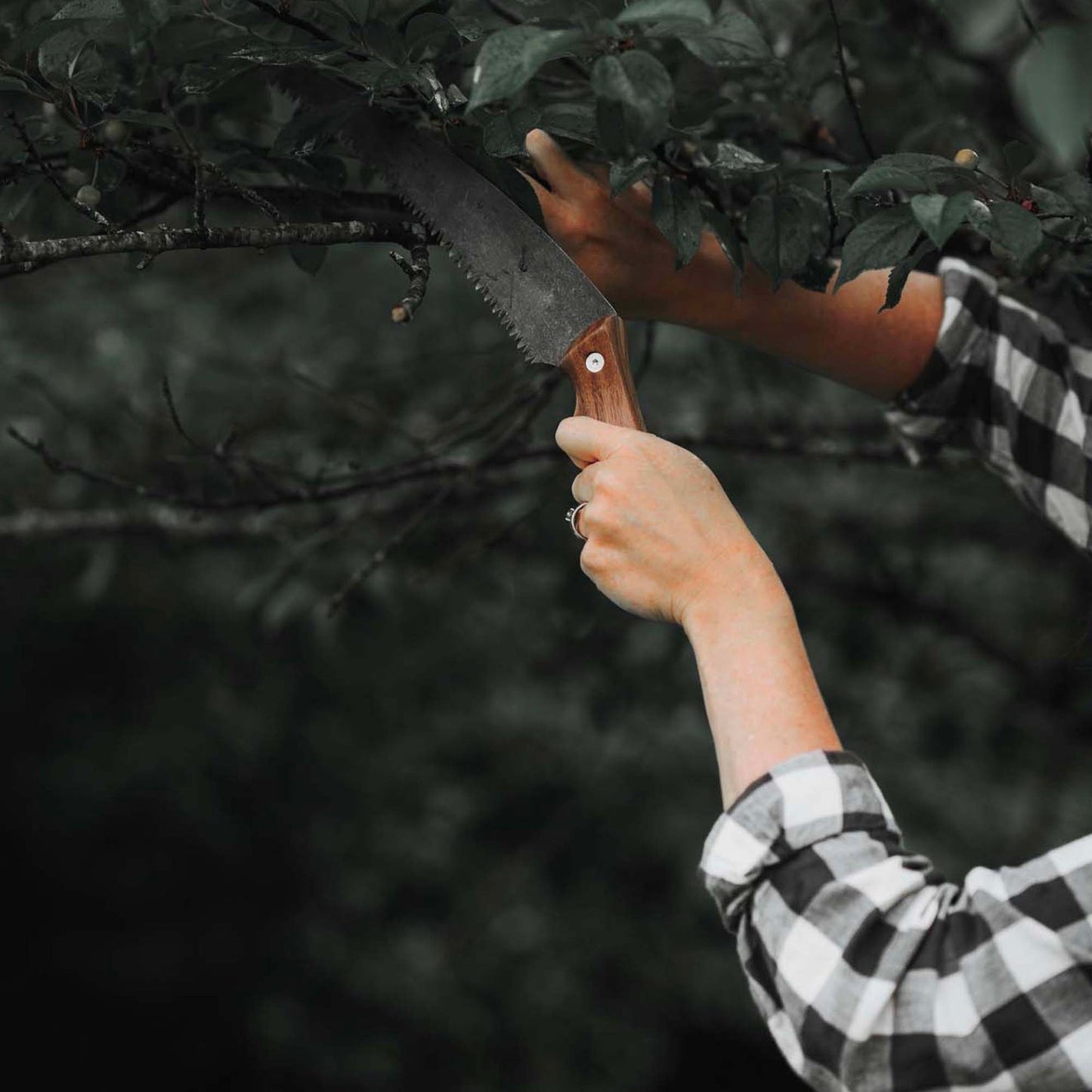 Gardening with Timber Saw