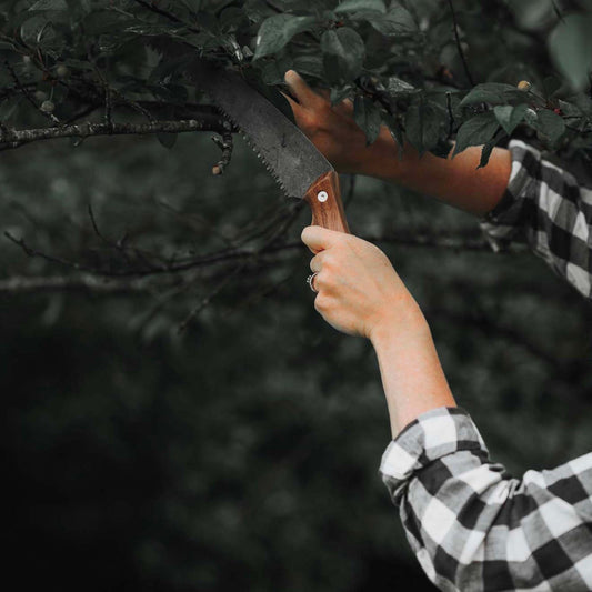 Gardening with Timber Saw