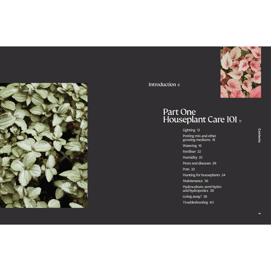 The Plant Book - Houseplant Care 101