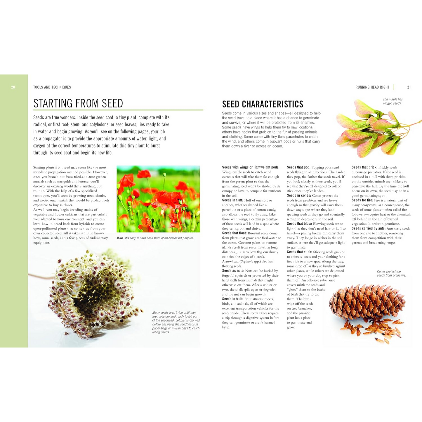 The Plant Propagator's Bible - Starting from Seed