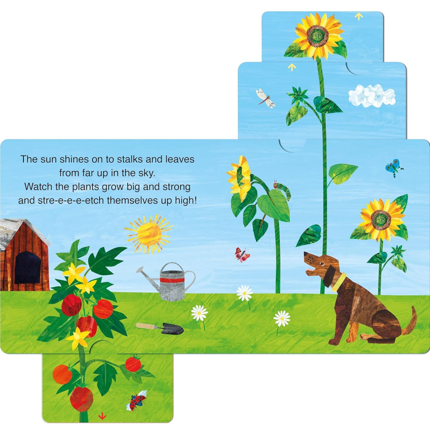 The Very Hungry Caterpillar's Garden Plants