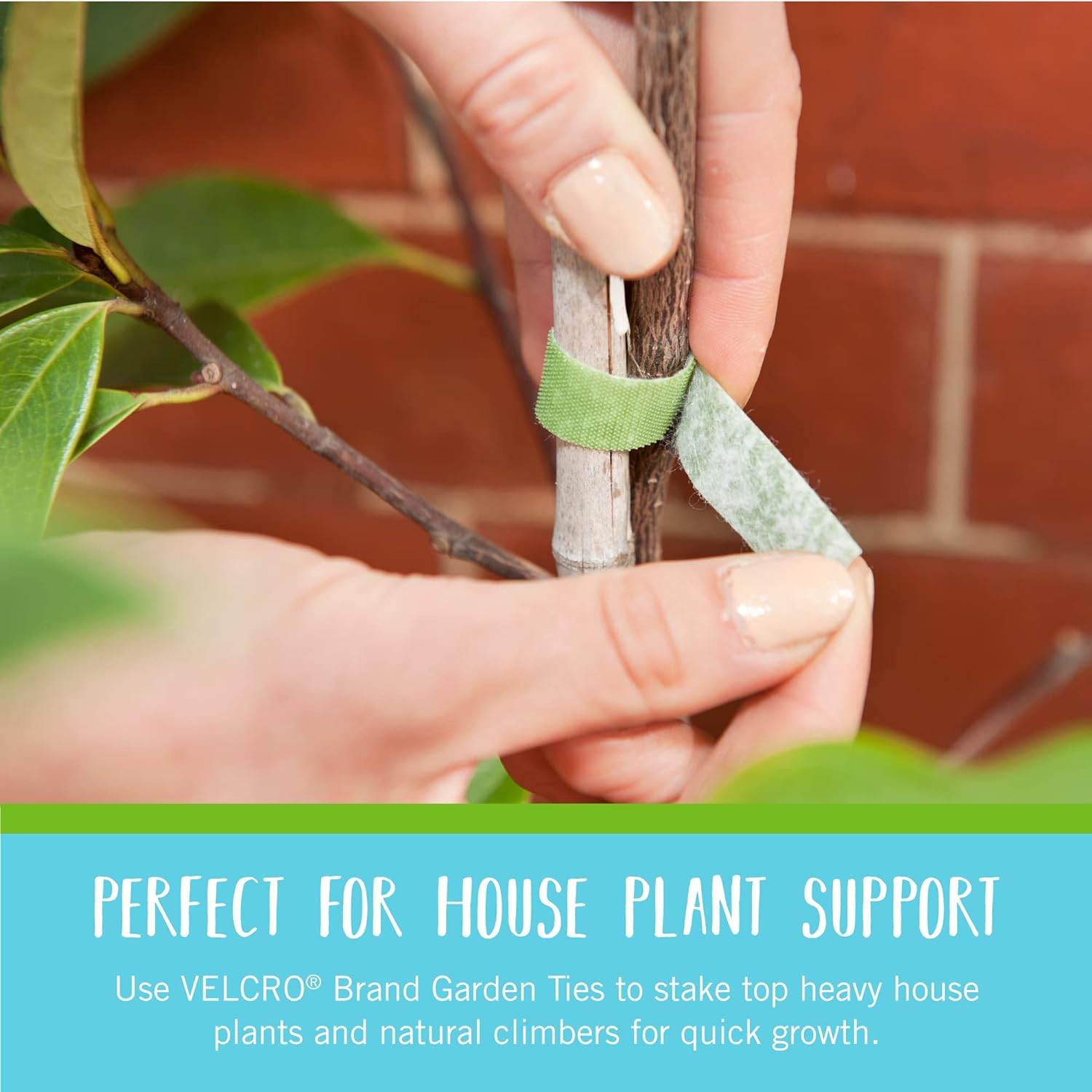Velcro Garden Plant Ties - Perfect for House Plant Support