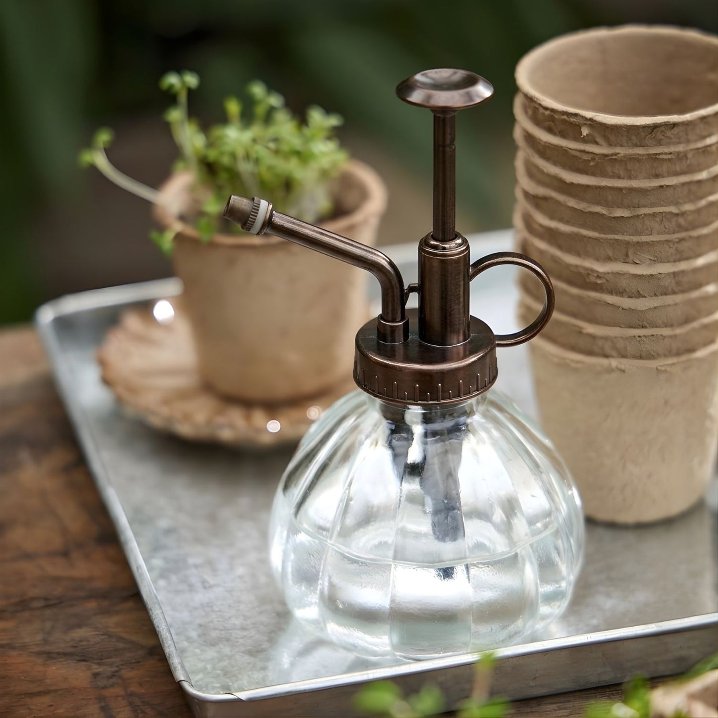 Vintage Indoor Plant Mister, Clear Glass