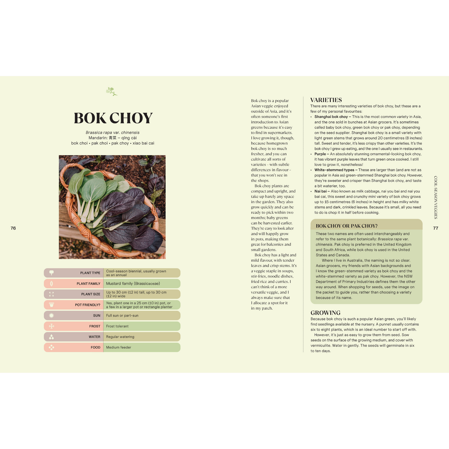 Your Asian Veggie Patch by Connie Cao - Sample Page 3