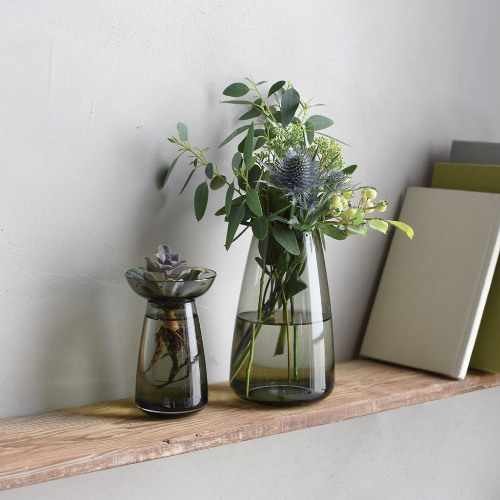 Kinto Japan Aqua Culture Glass Propagation Vases
