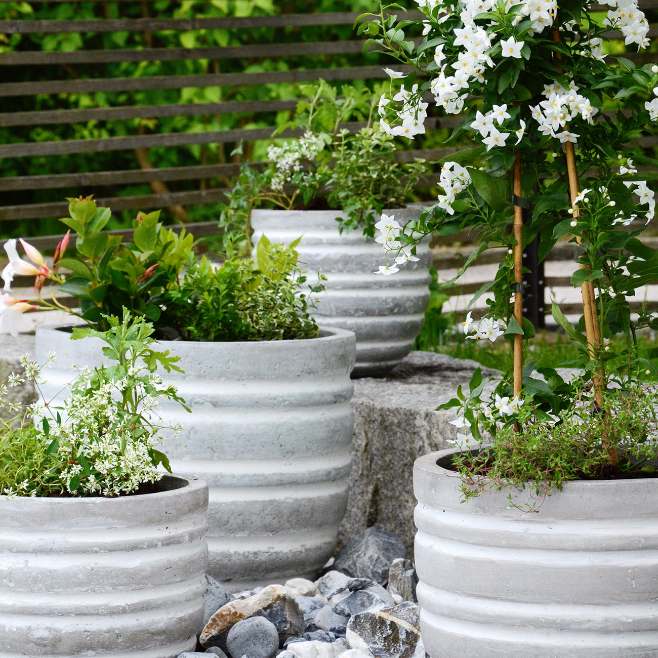 Container Garden