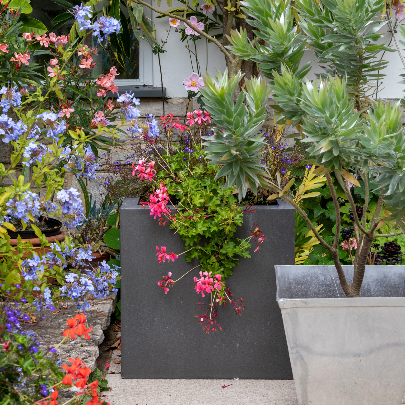 Container Gardening