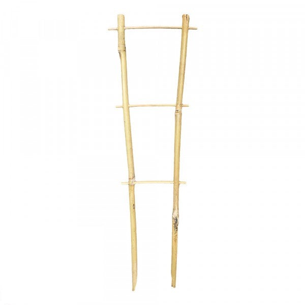 Bamboo Trainer