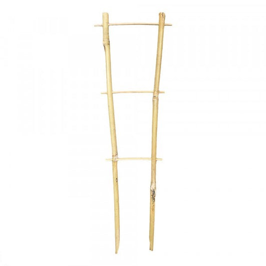 Bamboo Trainer