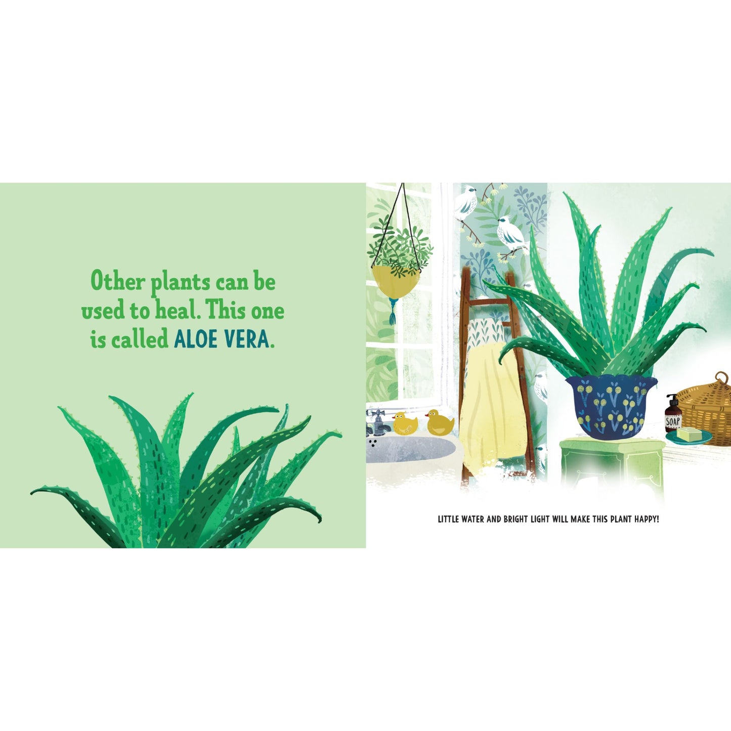 My First Book of Houseplants