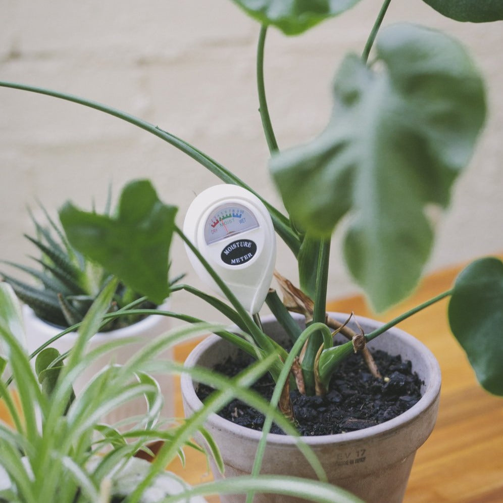 Moisture Meter Range: 1-10 (1-3 Dry, 4-7 Normal, 8-10 Wet)