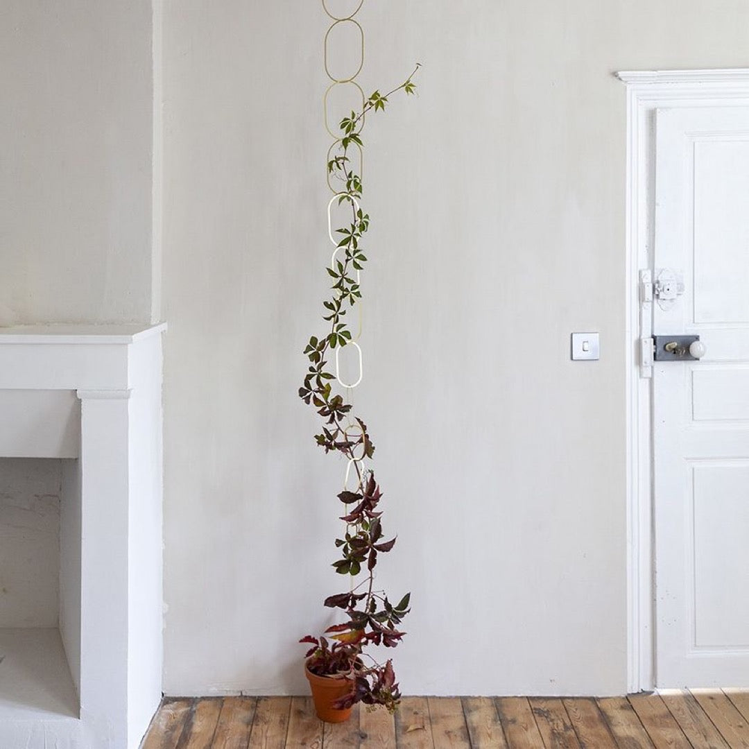 Botanopia Gold Brass Climbing Plant Support
