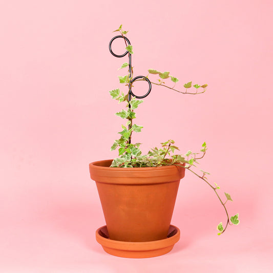 Botanopia Perch Mini Plant Stake, Black in Pot