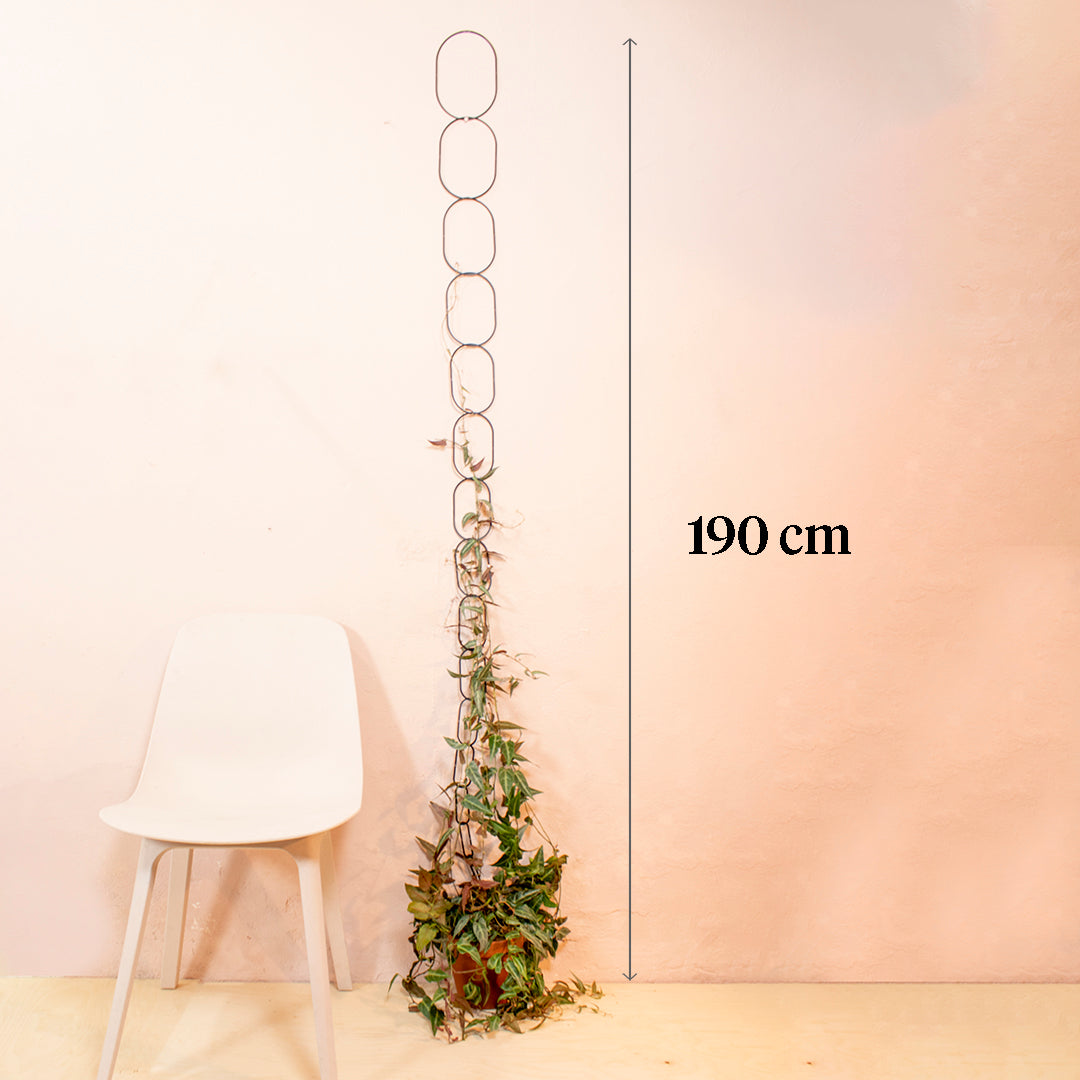 Botanopia Brass Climbing Plant Support Height