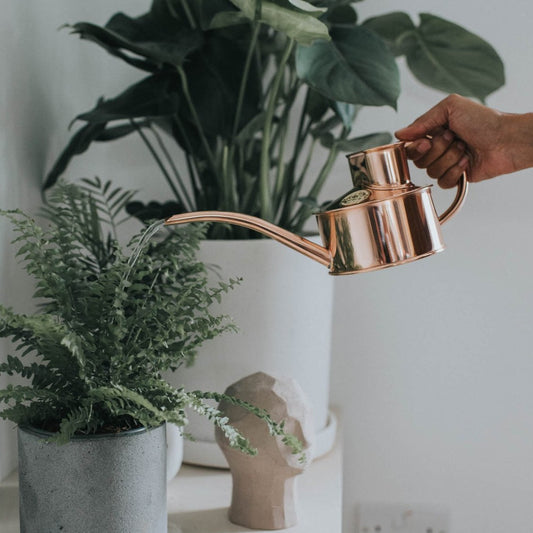 Its elegantly curved non-drip spout delivers pinpoint watering accuracy, helping avoid splashes around your potted plants.
