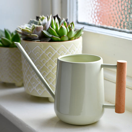Burgon & Ball Pale Jade Indoor Watering Can on windowsill with plants.