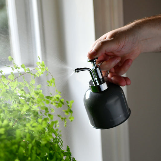 Person Spraying Burgon & Ball Indoor Plant Mister, Charcoal