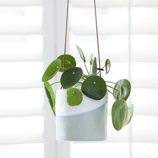 Dip Hanging Pot