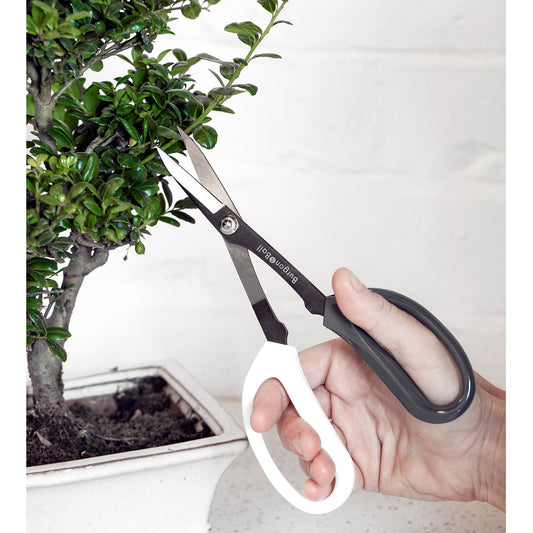 Japanese Bonsai Pruning Scissors