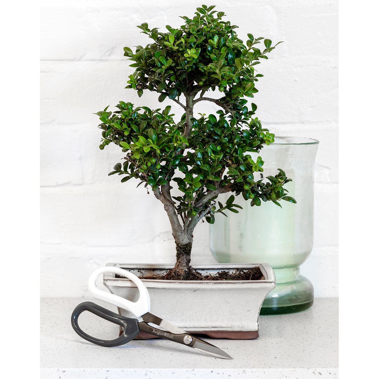 Bonsai Pruning Scissors