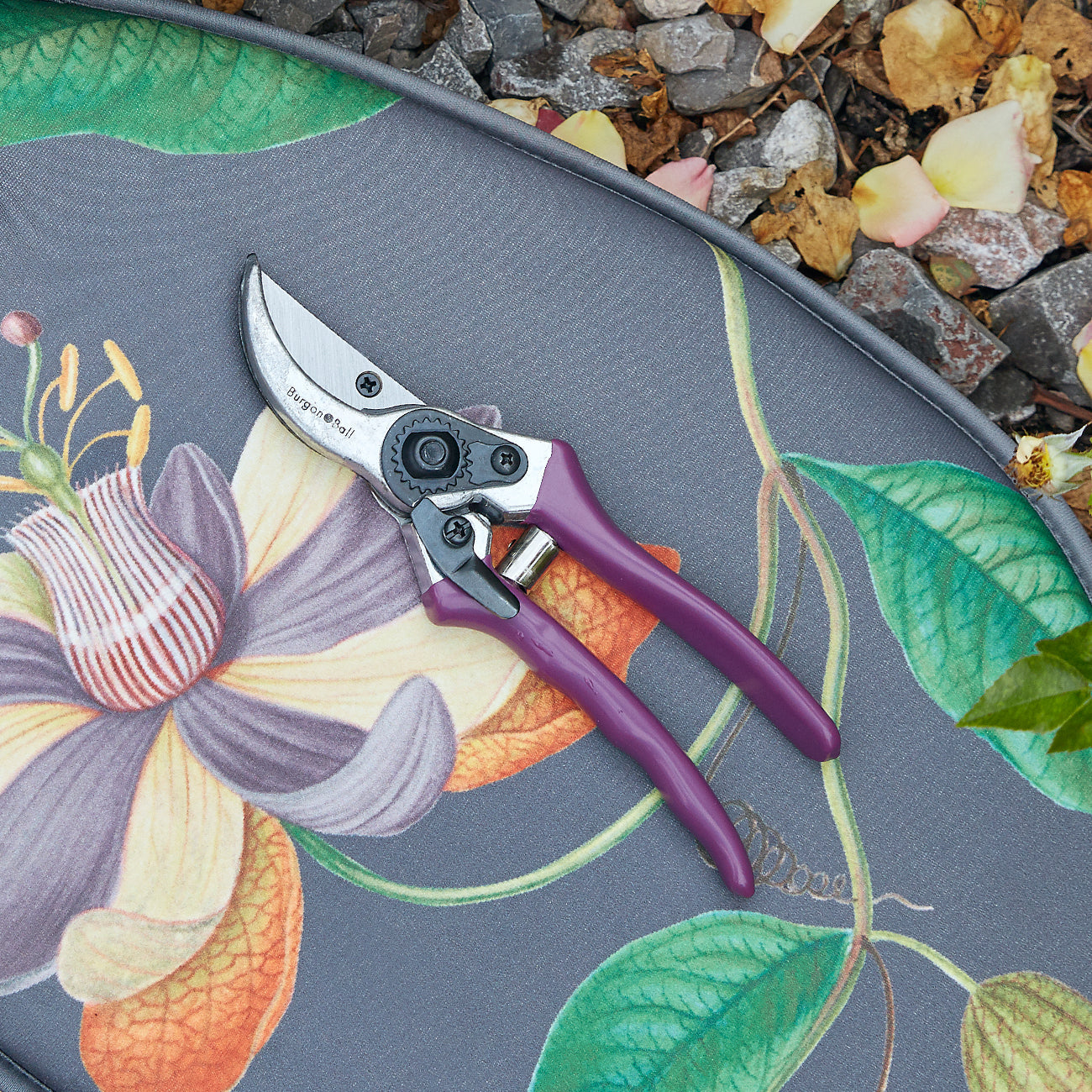 Passiflora Secateurs