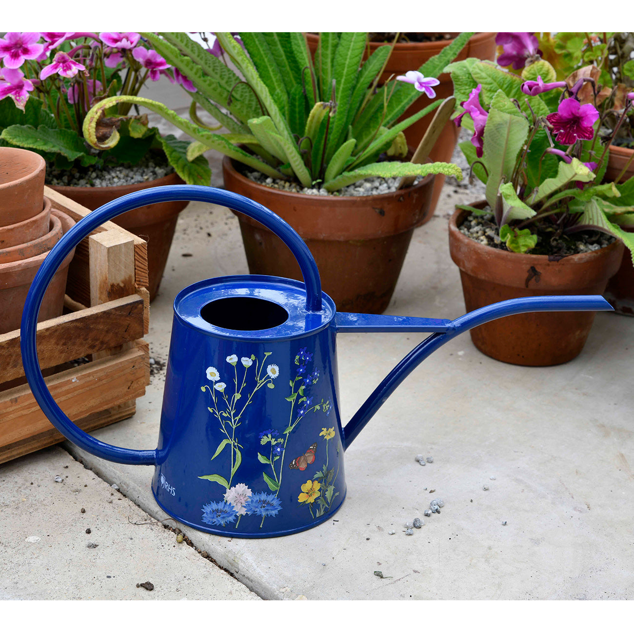 Burgon & Ball British Meadow Metal Indoor Watering Can in Garden