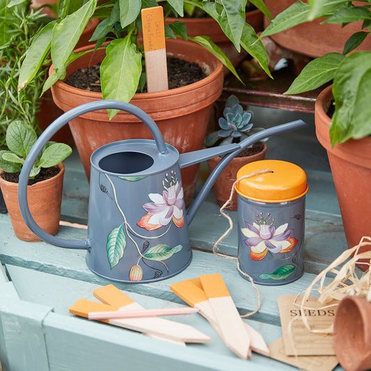 RHS Passiflora Collection