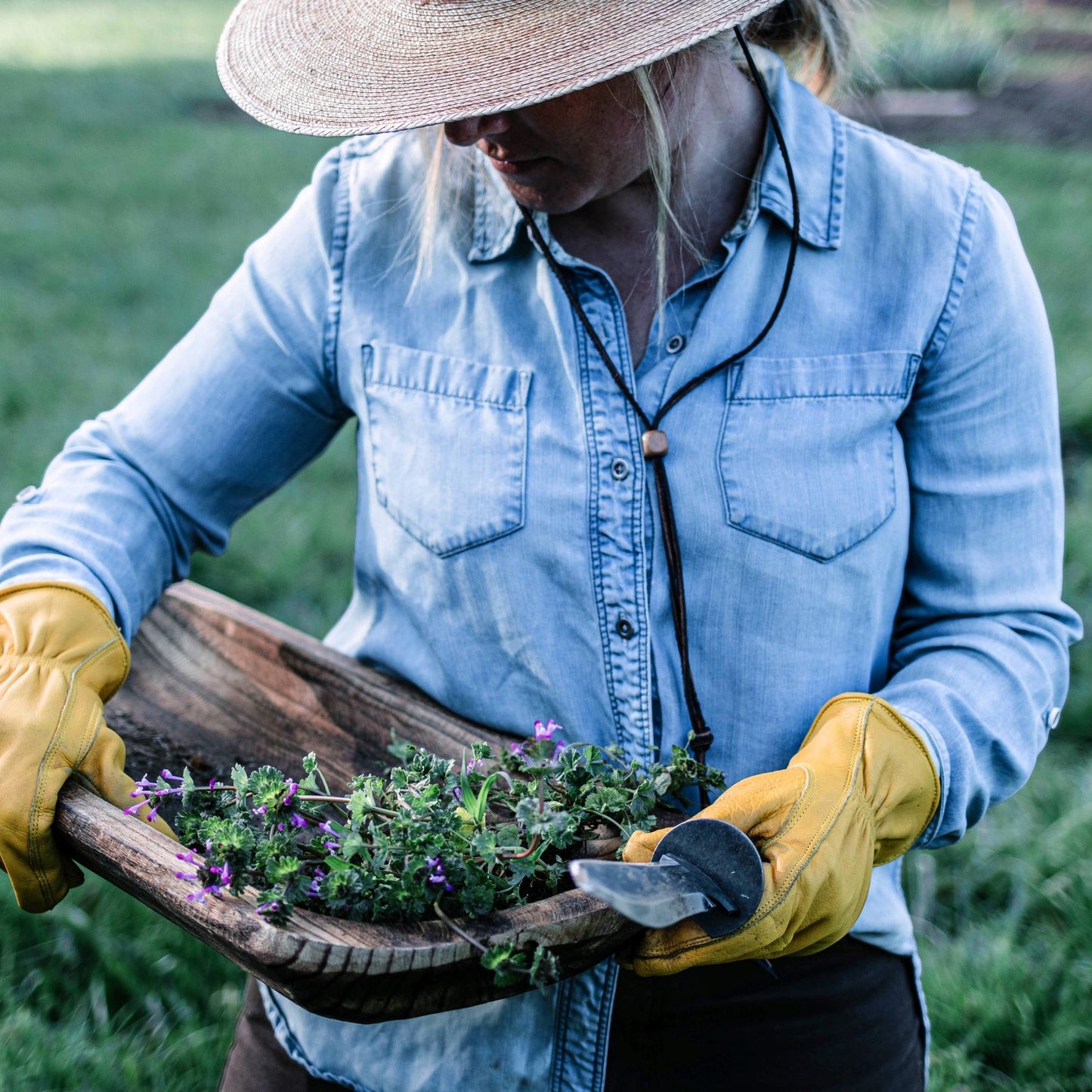 Gardener holding Barebones Hori Hori Ultimate and Trug