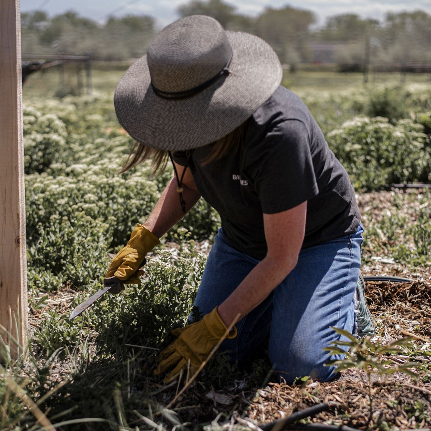 Gardening with Japanese Hori Hori Knife