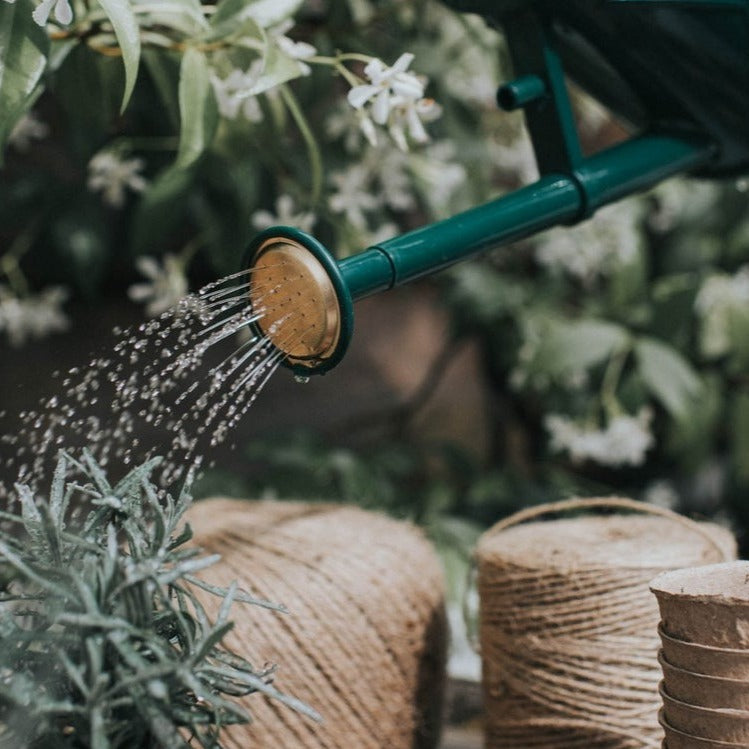 Haws 'Bartley Burbler' plastic indoor watering can with removable brass fine spray pot rose.