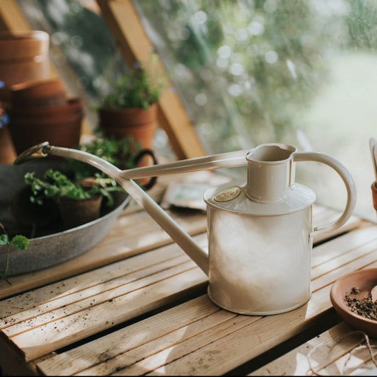These watering cans are extremely practical for the home, conservatory or greenhouse.