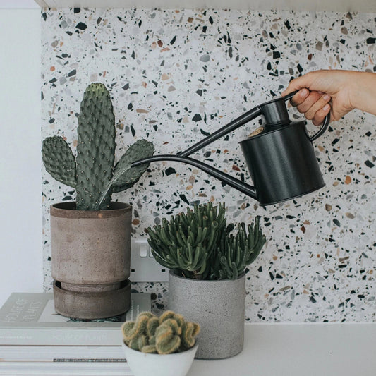 Meet the perfect small watering can for keeping your interior jungle in tip-top condition.