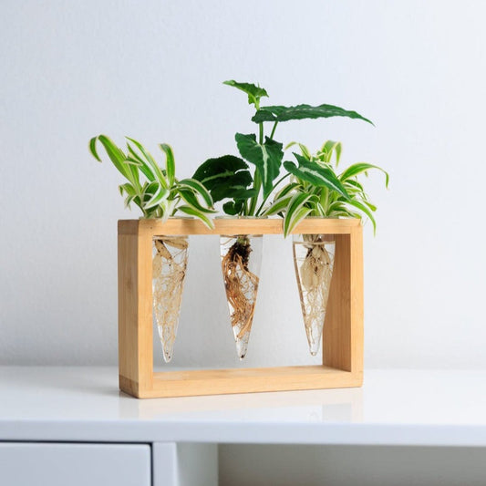 Proppi 3 Station with Plants
